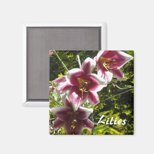 Lilies Magneet (Voorkant / Achterkant)