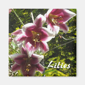 Lilies Magneet (Voorkant)