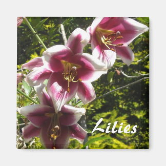 Lilies Magneet