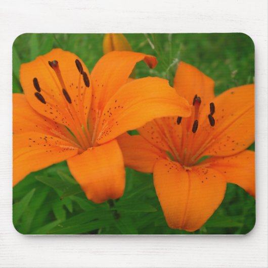 Lilies Mousepad Muismat (Voorkant)