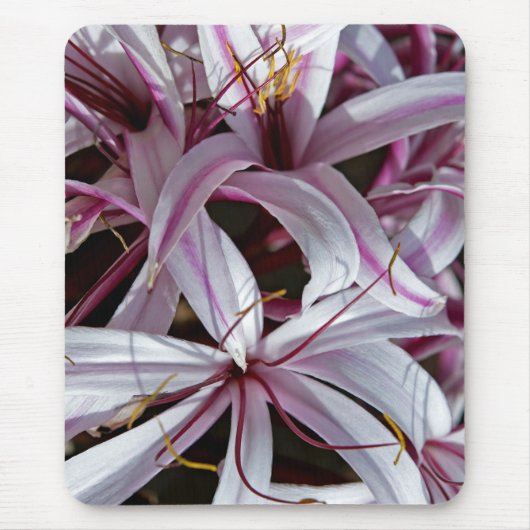 Lilies Muismat (Voorkant)