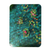 Lilies op het Flexibele Magnet Water Magneet (Verticaal)