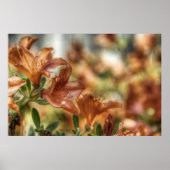 Lilies Poster (Voorkant)