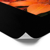 Lilies Poster (Hoek)