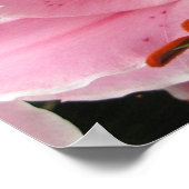 Lilies Poster (Hoek)