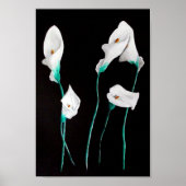 Lilies Poster Print Medium 24x20 (Voorkant)