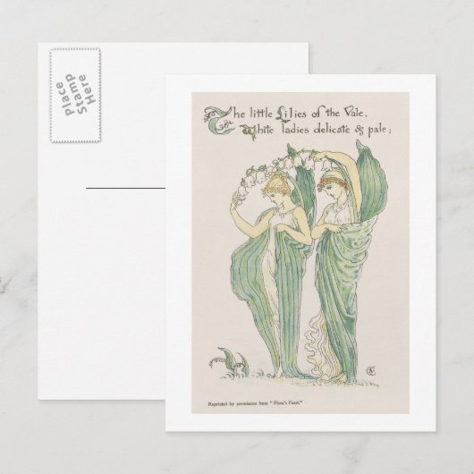 Lilies van de Vale uit Flora's Feast, 1901 (colo) Briefkaart (Voorkant / Achterkant)