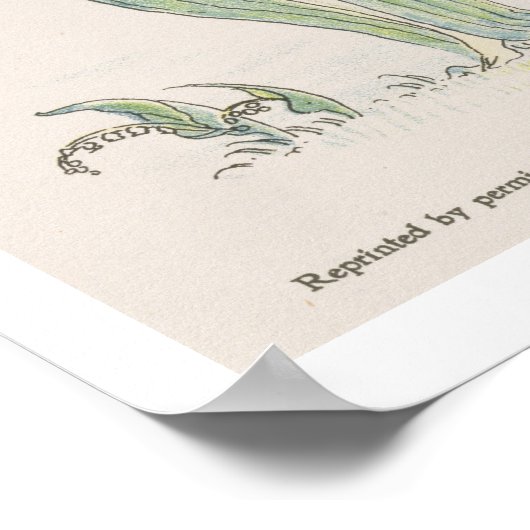 Lilies van de Vale uit Flora's Feast, 1901 (colo) Poster (Hoek)