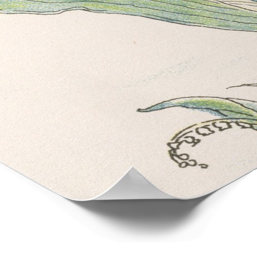 Lilies van de Vale uit Flora's Feast, 1901 (colo) Poster (Hoek)