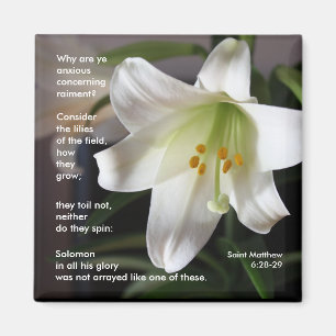 Lilies van het veld - Magnet