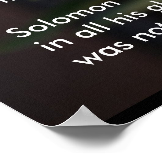 Lilies van het veld - Poster (Hoek)