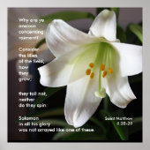 Lilies van het veld - Poster (Voorkant)