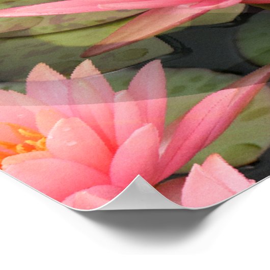 Lilies van Lovin... Poster (Hoek)