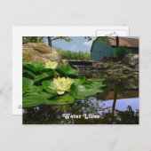 Lilies water in de hond briefkaart (Voorkant / Achterkant)