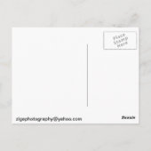 Lilikoi Flower Briefkaart (Achterkant)