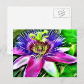 Lilikoi of Passievloer Briefkaart (Voorkant / Achterkant)