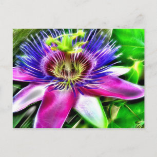 Lilikoi of Passievloer Briefkaart