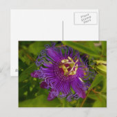 Lilikoi of Passievloer Briefkaart (Voorkant / Achterkant)