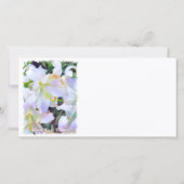 Lilium "Casa Blanca" 案 内 Aankondiging (Achterkant)