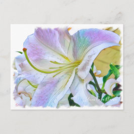 Lilium "Casa Blanca" (Briefkaart) ポ カ ー ド Briefkaart