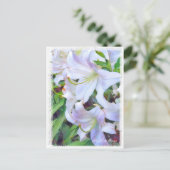 Lilium "Casa Blanca" (Briefkaart) ポ カ ー ド Briefkaart (Staand voorkant)