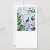 Lilium "Casa Blanca" [Flat Guide-kaart] Aankondiging (Achterkant)