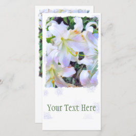 Lilium "Casa Blanca" [Flat Guide-kaart] Aankondiging