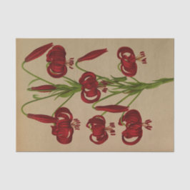 Lilium Chalcedonicum door Arentina Hendrica Arends Tissuepapier