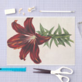 Lilium Hæmatochroum (Hybridum) van Charles Lemaire Tissuepapier (Craft)