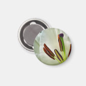Lilium oosterse witte magneet (Voorkant / Achterkant)