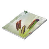 Lilium Oriental White Notitieblok (Linkerzijde)