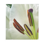 Lilium Oriental White Notitieblok (Voorkant)