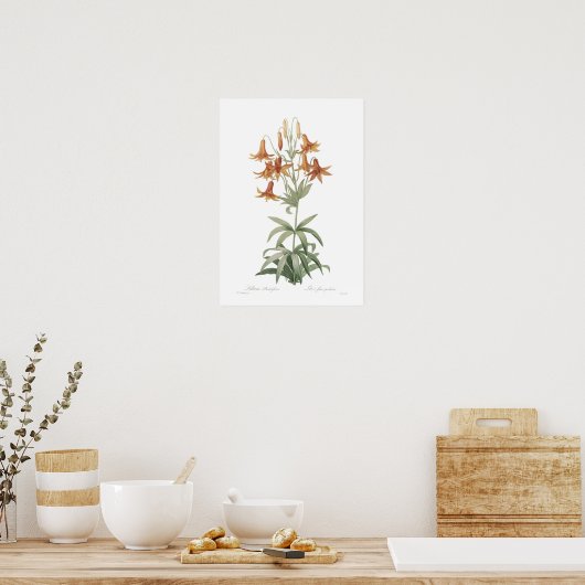 Lilium penduliflorum poster (Keuken)
