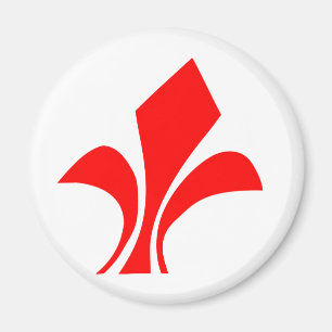 Lille, Frankrijk Magneet