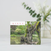 Lille Jardin Vauban grotto uitzicht briefkaart (Staand voorkant)