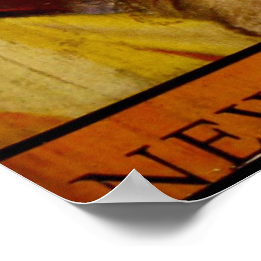 Lillian Gish Decorative Poster (Hoek)