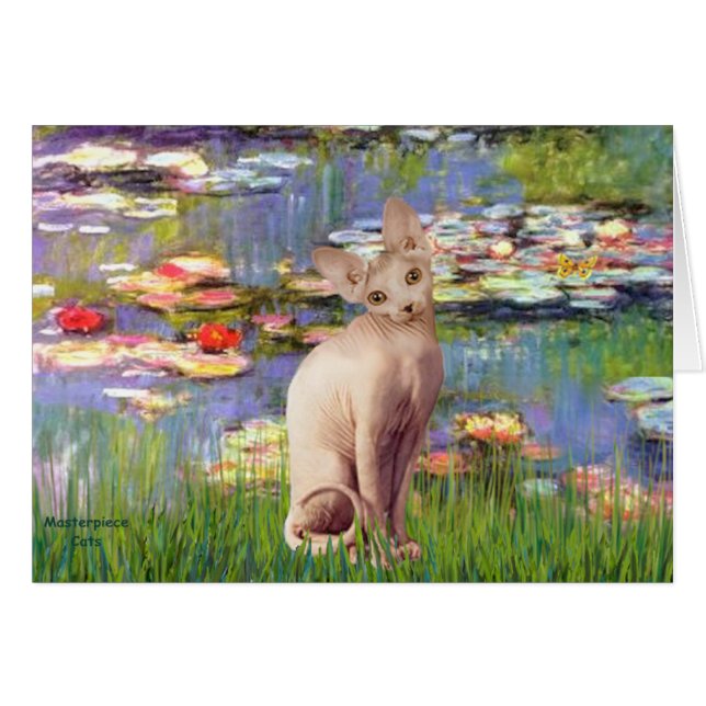 Lillies 2 - Crème Sphynx kat (Voorkant Horizontaal)