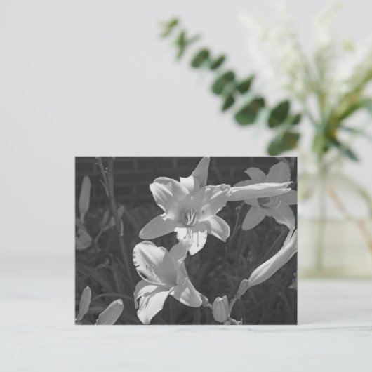 Lillies Briefkaart (Staand voorkant)