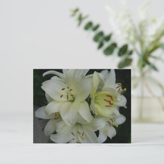 Lillies Briefkaart (Staand voorkant)