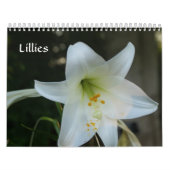 Lillies Kalender (Hoes)