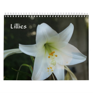Lillies Kalender