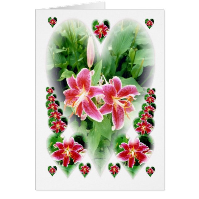 Lillies of the Heart (Voorkant)