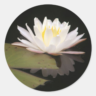 Lillies Ronde Sticker