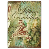 Lillium Candidum Klembord (Achterkant)