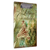 Lillium Candidum Klembord (Rechts)