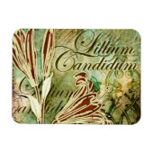 Lillium Candidum Magneet (Horizontaal)