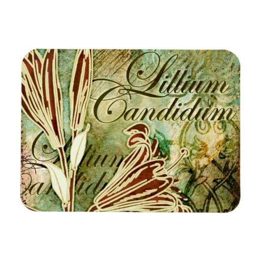 Lillium Candidum Magneet (Horizontaal)