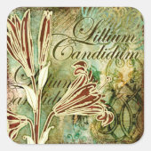 Lillium Candidum Vierkante Sticker (Voorkant)