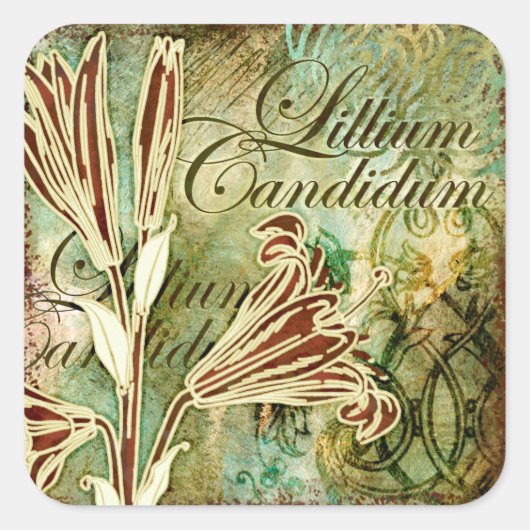 Lillium Candidum Vierkante Sticker (Voorkant)
