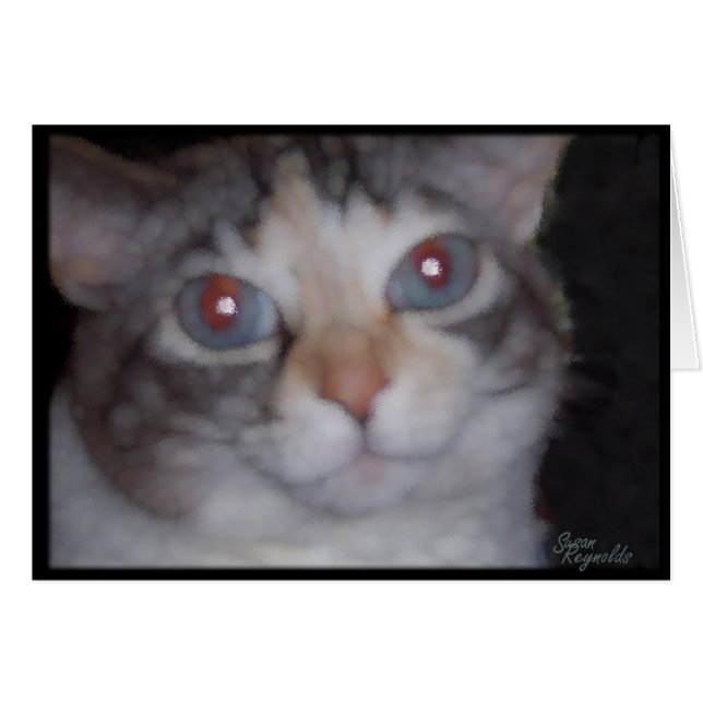 Lilly  (Voorkant Horizontaal)